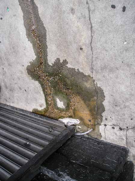 Easter bunny comes to Manhattan